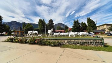 ¿Qué puedo hacer si he llegado a Coyhaique?